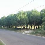 Vivenda Maria Da Nazare Picamilho