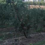 Vivenda Maria Da Nazare Дом отдыха