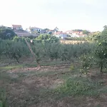 Vivenda Maria Da Nazare Casa de Férias Picamilho