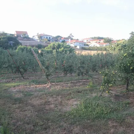 Vivenda Maria Da Nazare 度假居 Picamilho